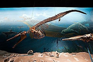 《WWE 2K25》封面艺术正式公开 罗曼·雷恩斯霸气！