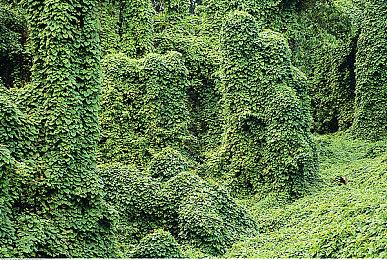 《卡里古拉2》亚洲版特典情报公布 9月中文版上市