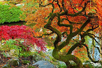 谷歌在Stadia云服务下线当天发布手柄蓝牙功能更新